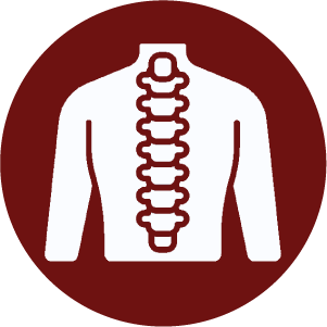 1744781977_Spine Icon.png